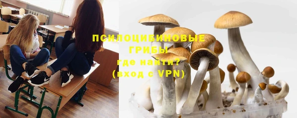 скорость Новодвинск