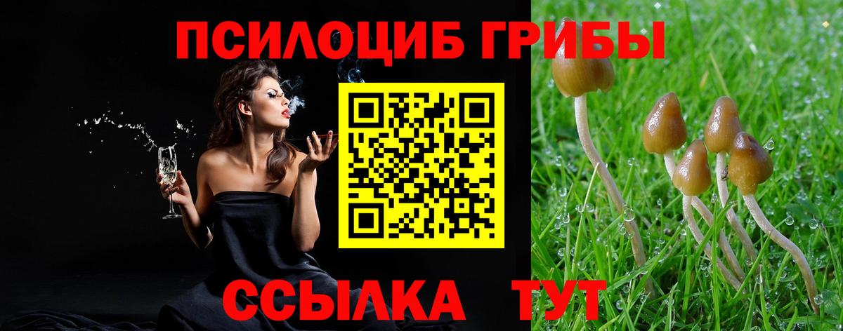 Галлюциногенные грибы GOLDEN TEACHER  Вход с VPN  Биробиджан  продажа наркотиков  Псилоцибиновые грибы Psilocybe 