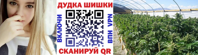 Канабис гибрид  Биробиджан 